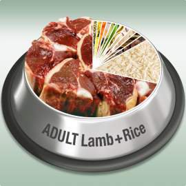 Platinum Adult Lamb+Rice