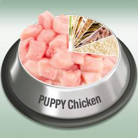 Platinum Puppy Chicken / Kölyök csirkés